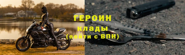 прущие грибы Барнаул