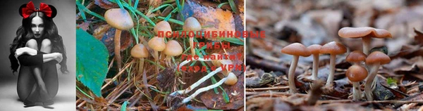 метадон Пенза