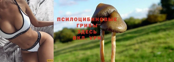 a pvp Ладушкин