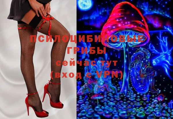 ешки Лагань