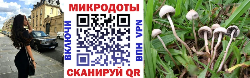 кракен ссылки  Тында  Псилоцибиновые грибы мицелий 