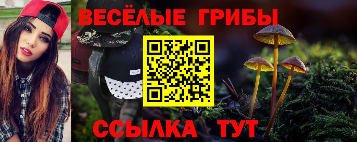 Тында  Псилоцибиновые грибы ЛСД  Вход с VPN 