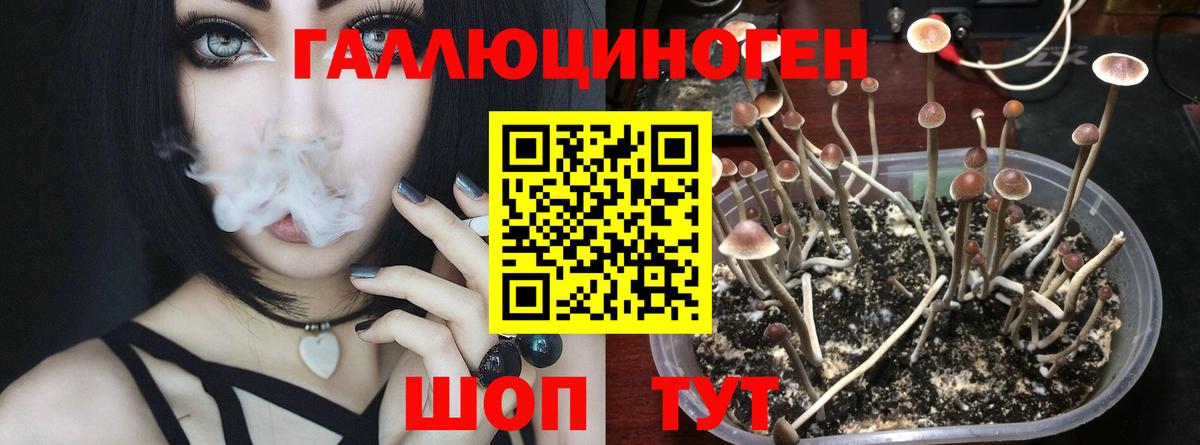 Псилоцибиновые грибы Magic Shrooms  Тында 