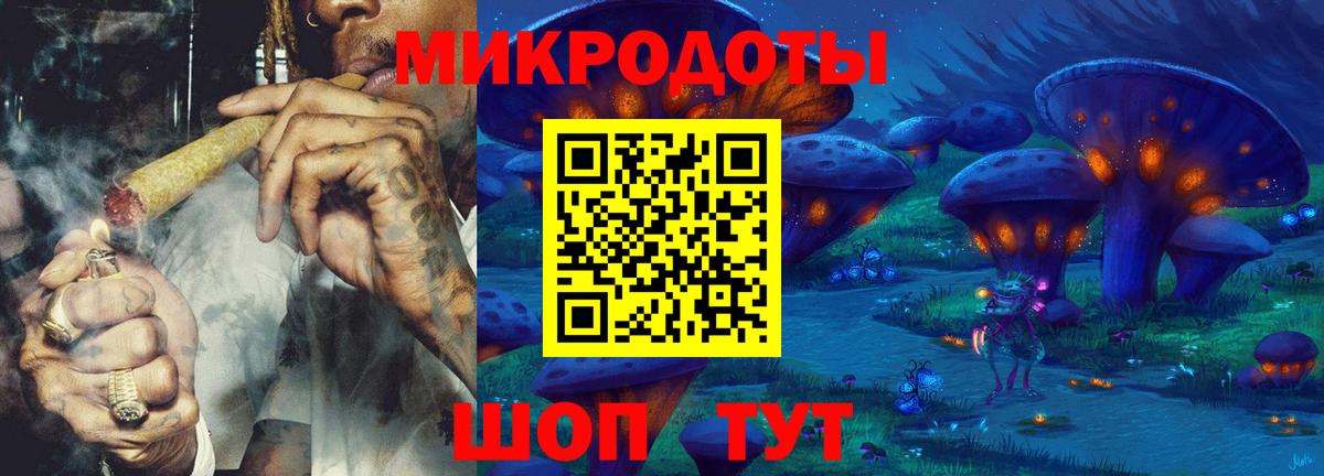 Псилоцибиновые грибы мицелий Тында