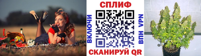 Конопля гибрид  наркота  Тында 